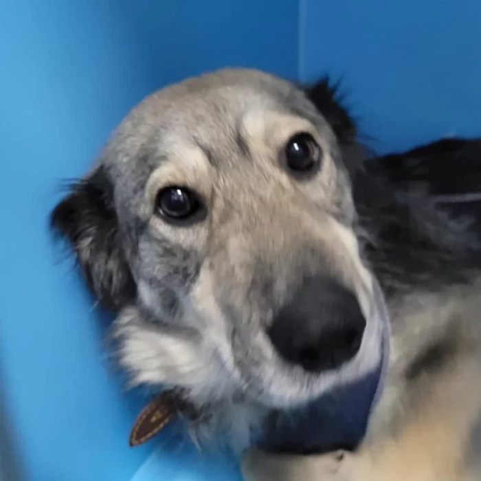 ����� �� ���� ������. �� �������� �� ����� �� ����� ������ ����� �� �����