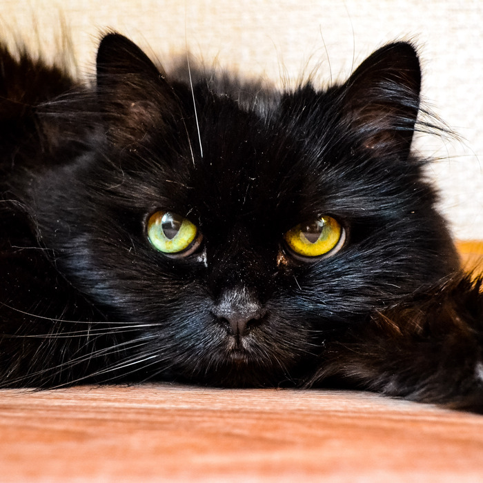 ����� �� ����� �����)