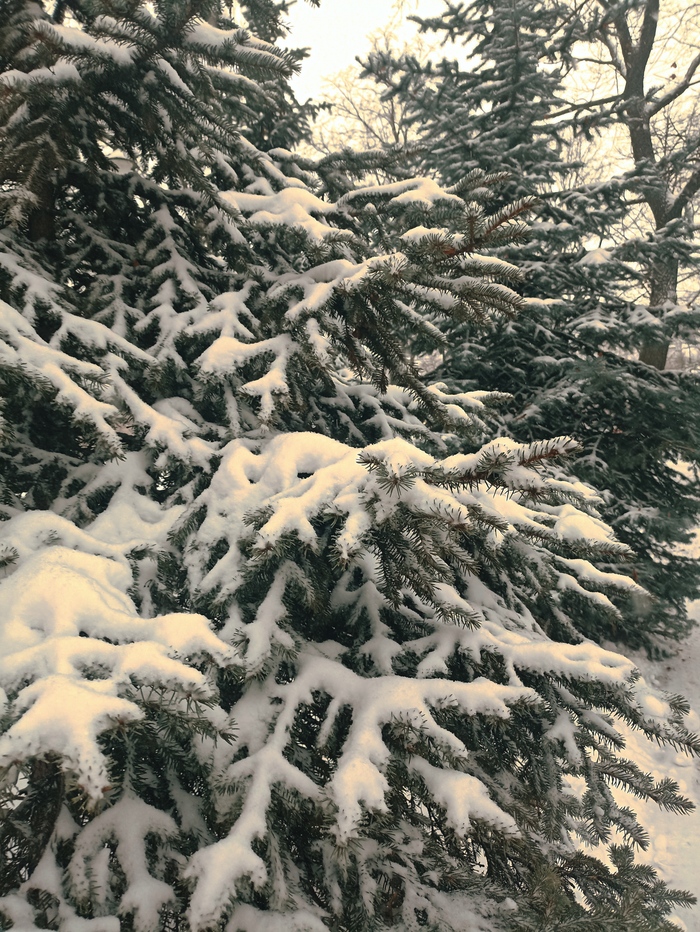 ������� ����!