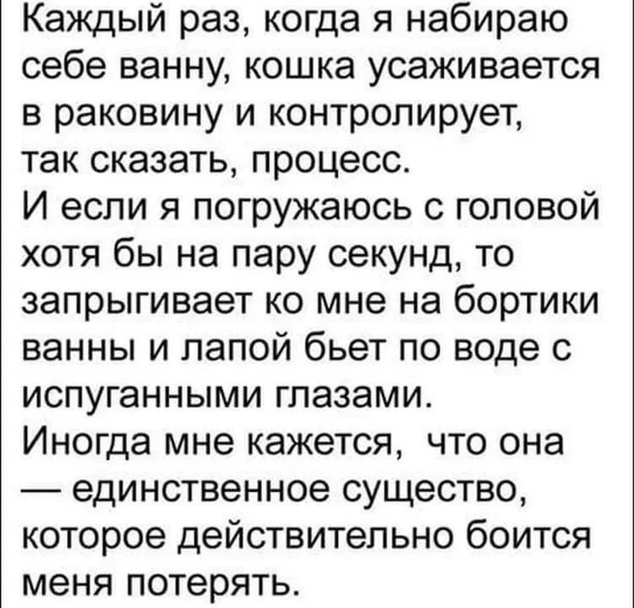 ����� ���� ���� ��������?