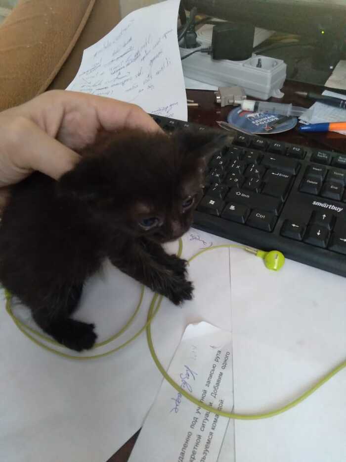  , , ,  