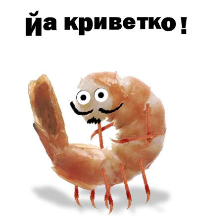 Смотрите какая ржака на баше