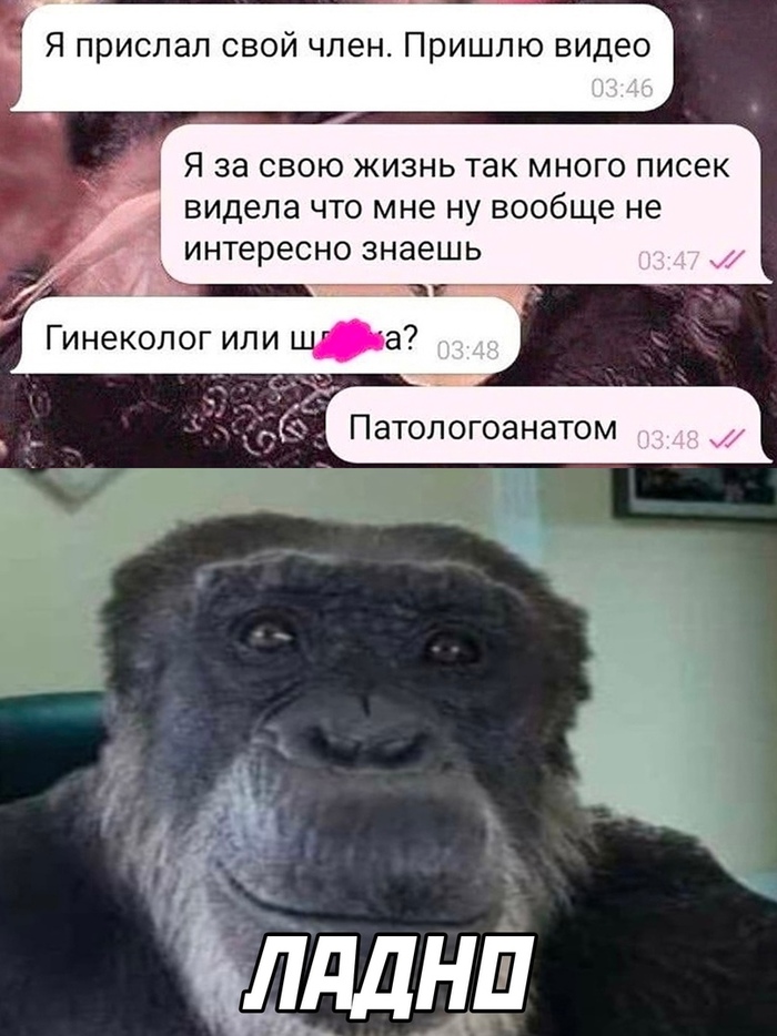 Переписка...