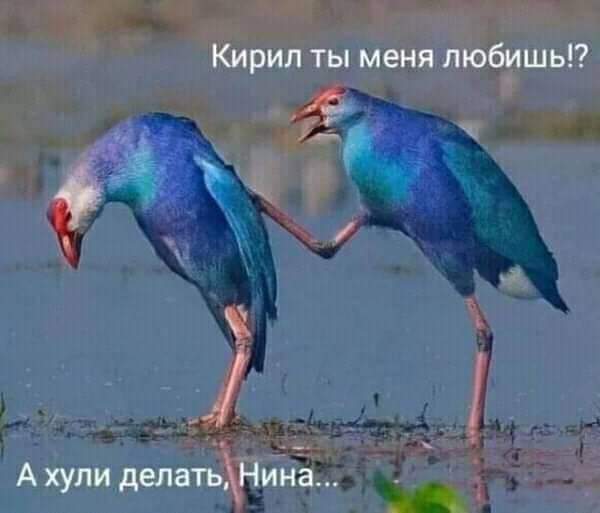 ��, ����...