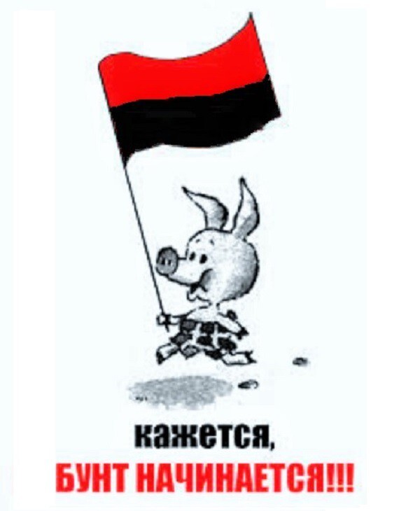 Ой что будет | Пикабу