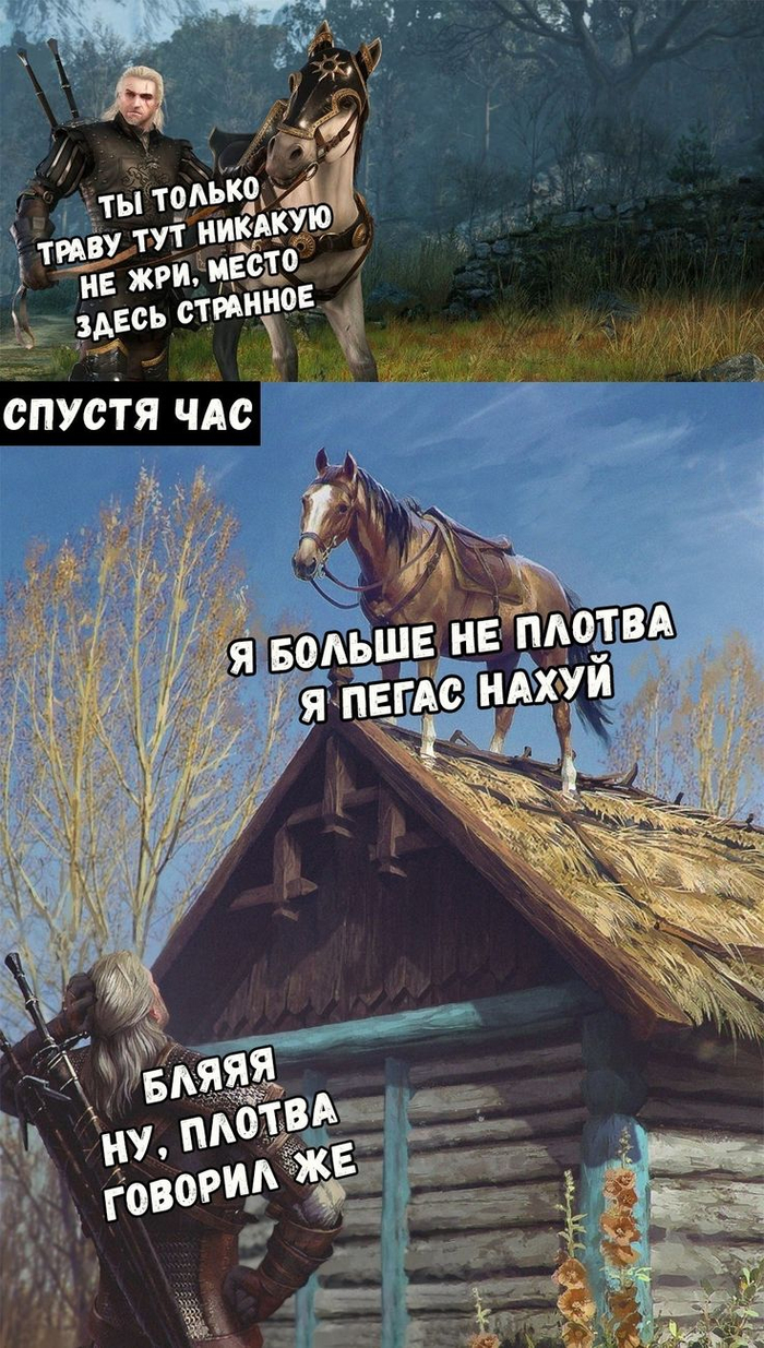 Шевелись, Плотва!