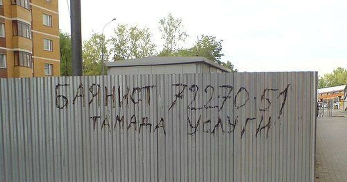 баянист услуги. тамада баянист. николай леонидович николаев баянист. тамада баян услуги. тамада с баяном.