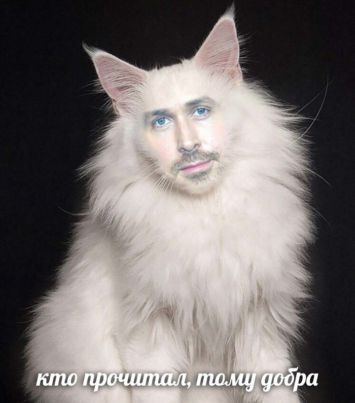 ФсЕм ПриФФки в эТом ЧатиГе