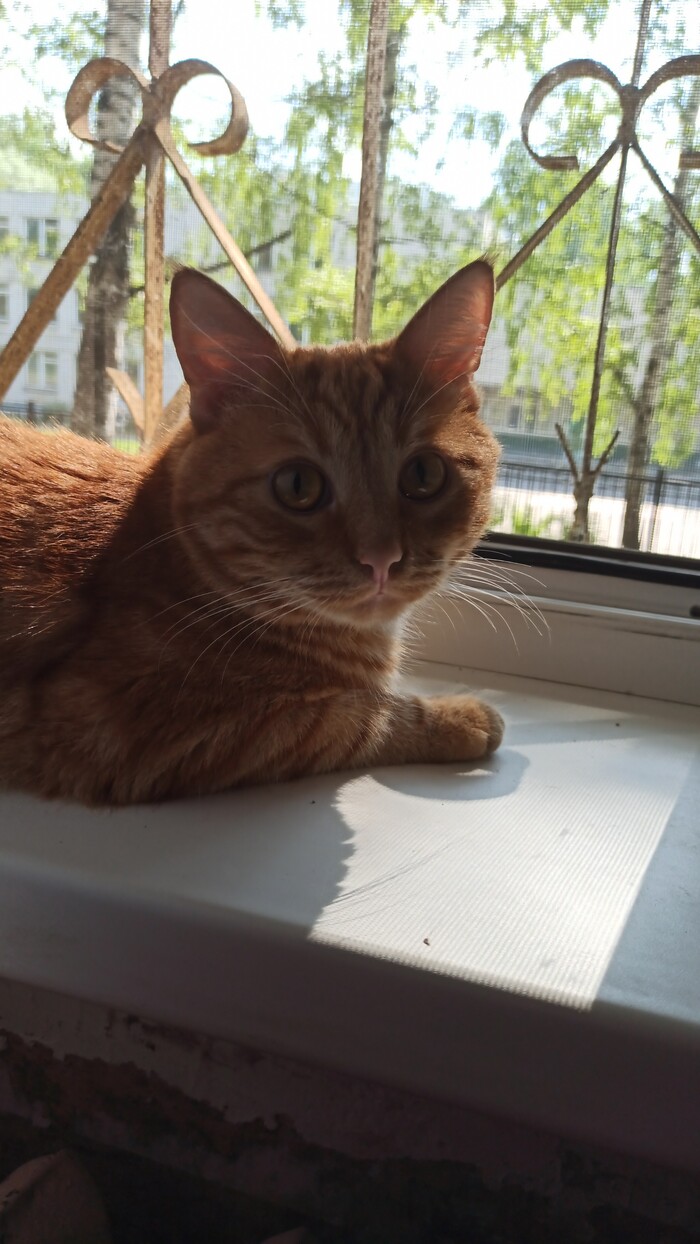 ��������� ���,� ���������!