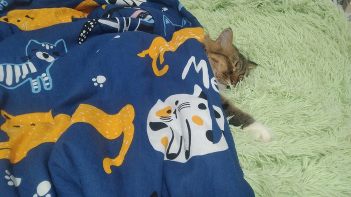 ���� ������ !