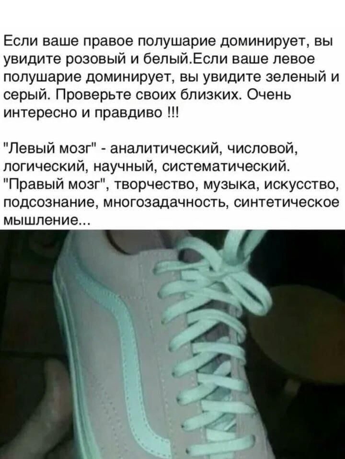 �� ���, ����� ������