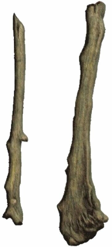 Мужики, открываю бизнес, зацените