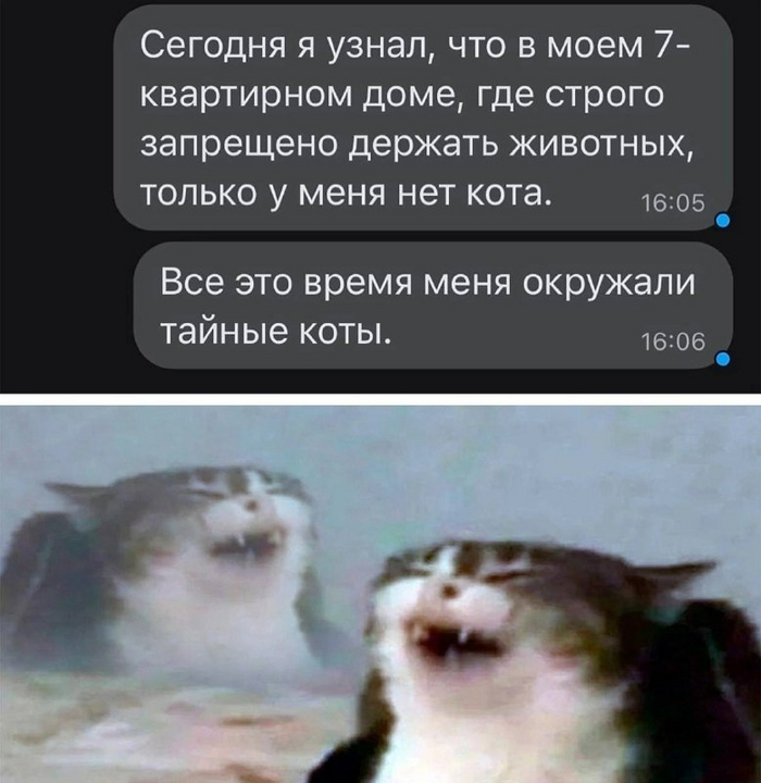   ,   , 