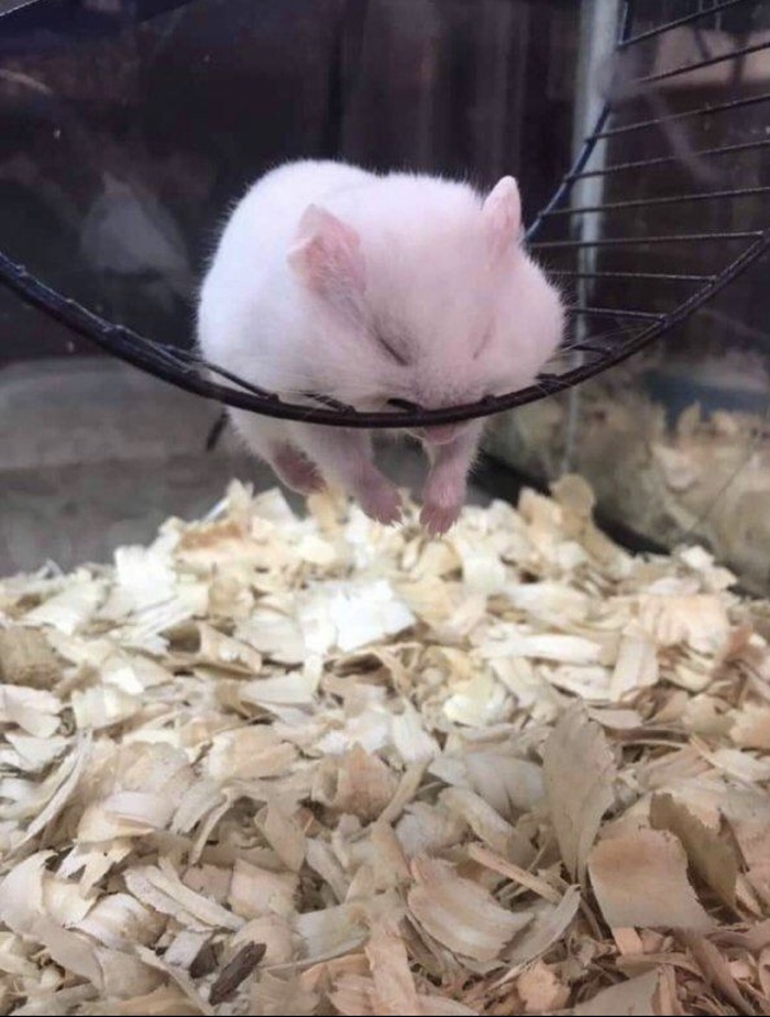  , , , ,  