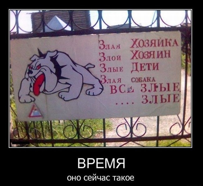 Смешные штуки, демотиваторы называеццо