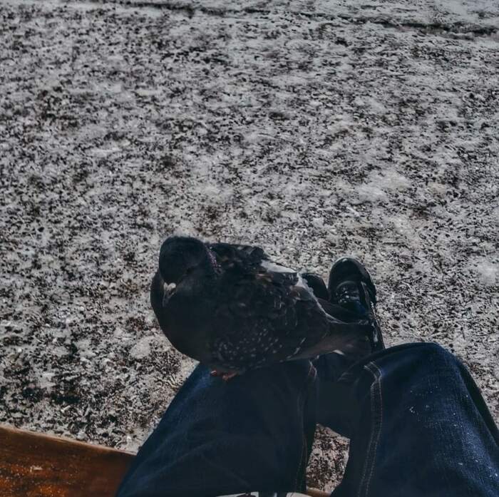 ������ ����������