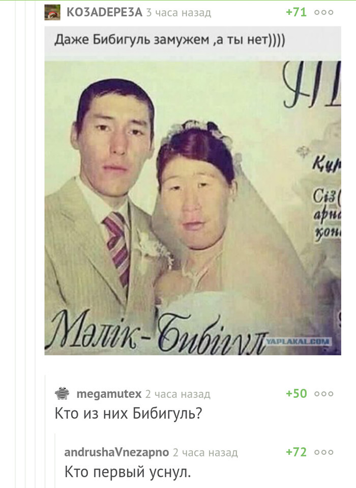 Волна баянов