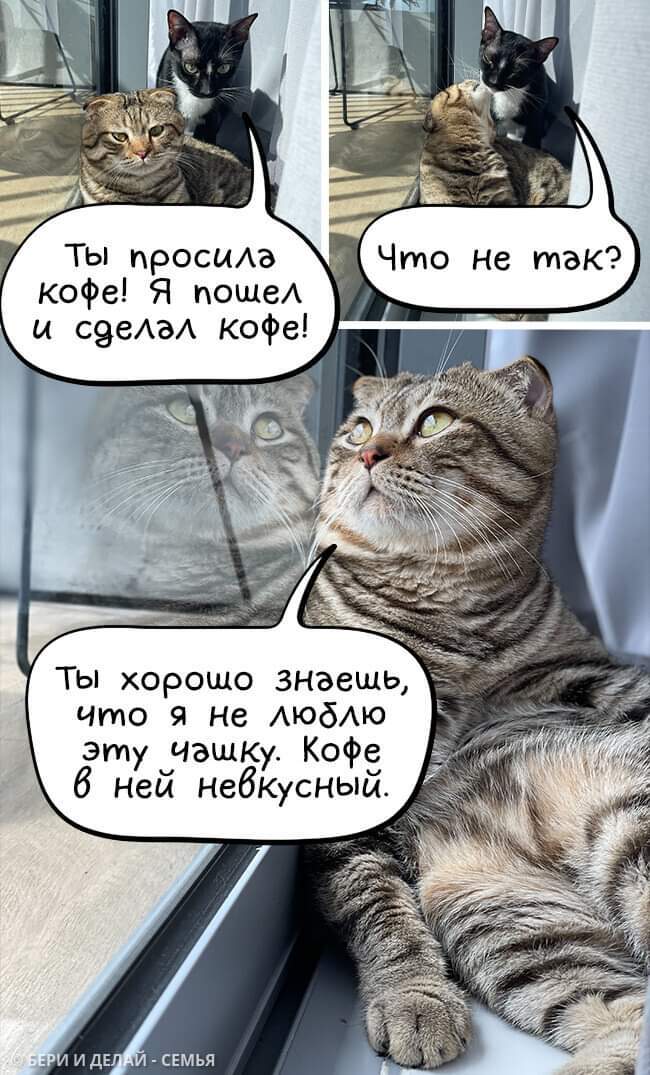  ,   , 