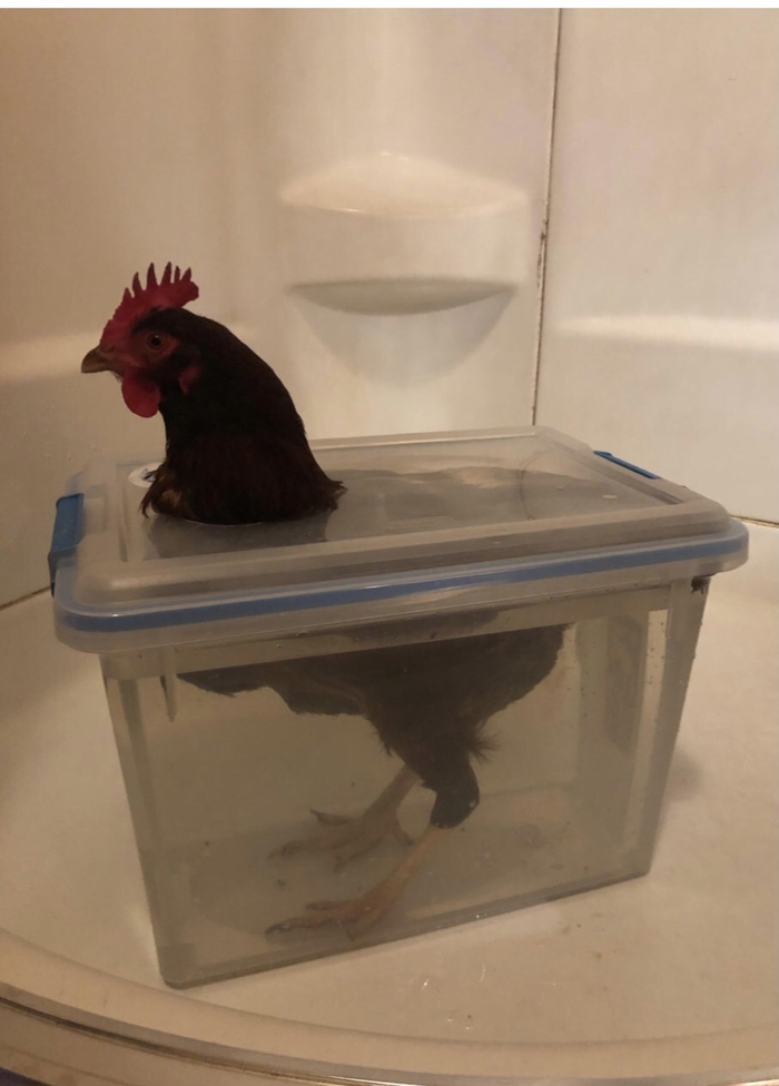 Вообще то это не совсем удобно