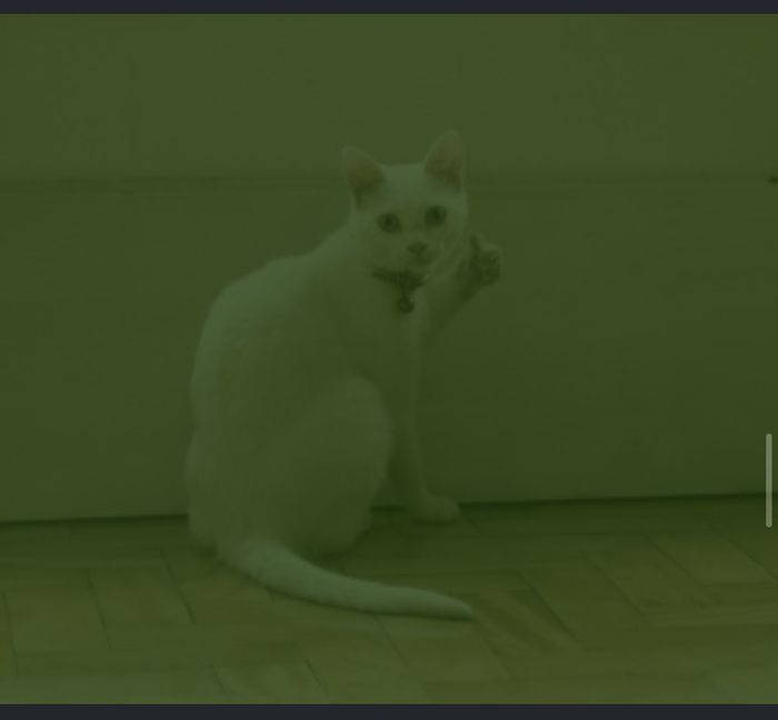 Зелёное выделение !