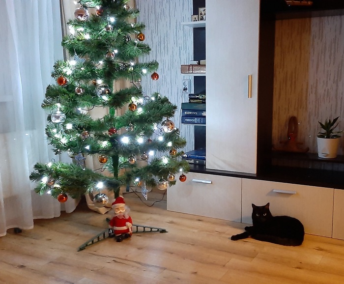 ������� ����� � �����