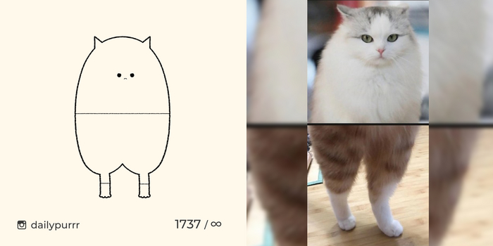 Когда заказал штаны неправильного размера в онлайн магазине