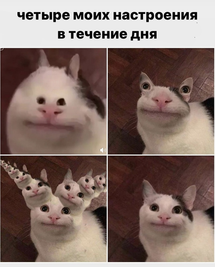     , , , 