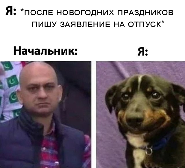 Я-Начальник-Отпуск | Пикабу