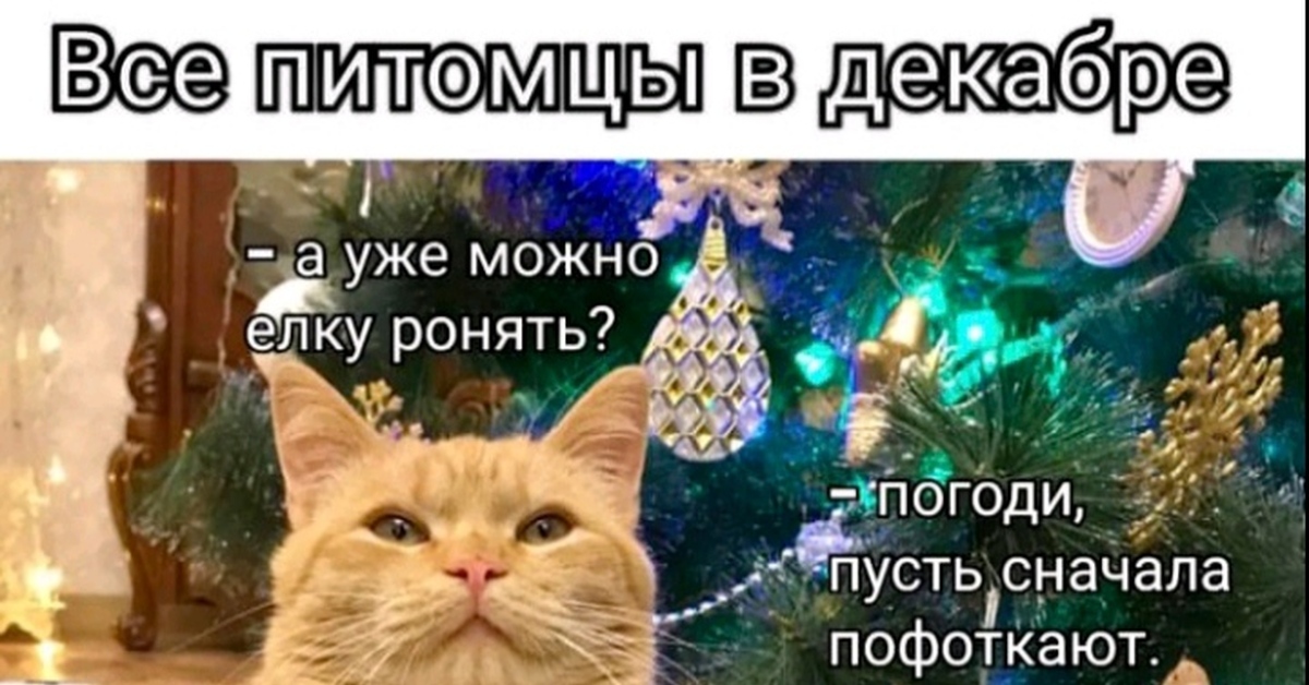 Мем | Пикабу