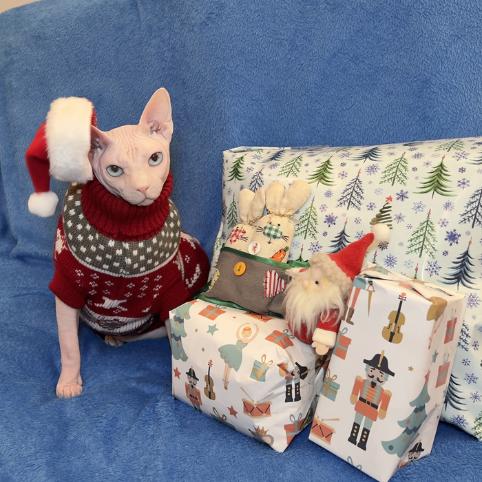 С наступающим Новым Годом!