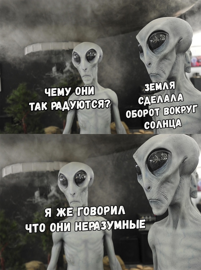   :)  , 2023,   , , 