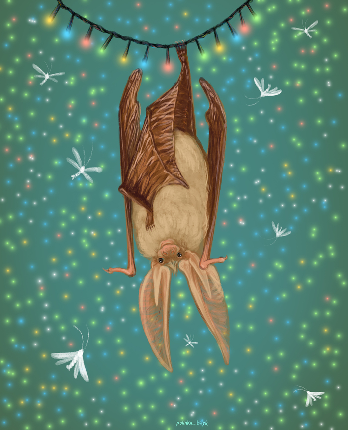 Чем не зайка? :)