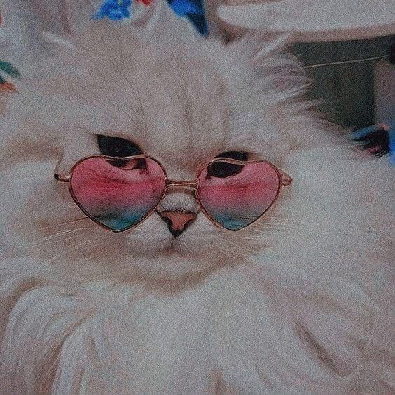 �������� ����� ���...