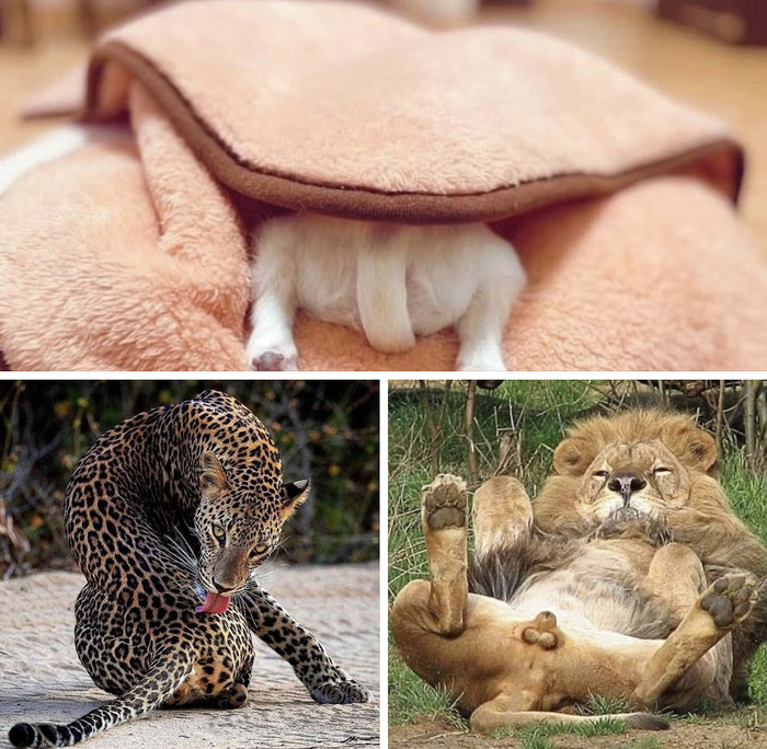 ��� �������� �� �, ��� ������� � ��� ������