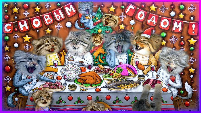 С Новым годом! Манул, Малые кошки, Семейство кошачьих, Погладь кота, Пушистые, Хищные животные