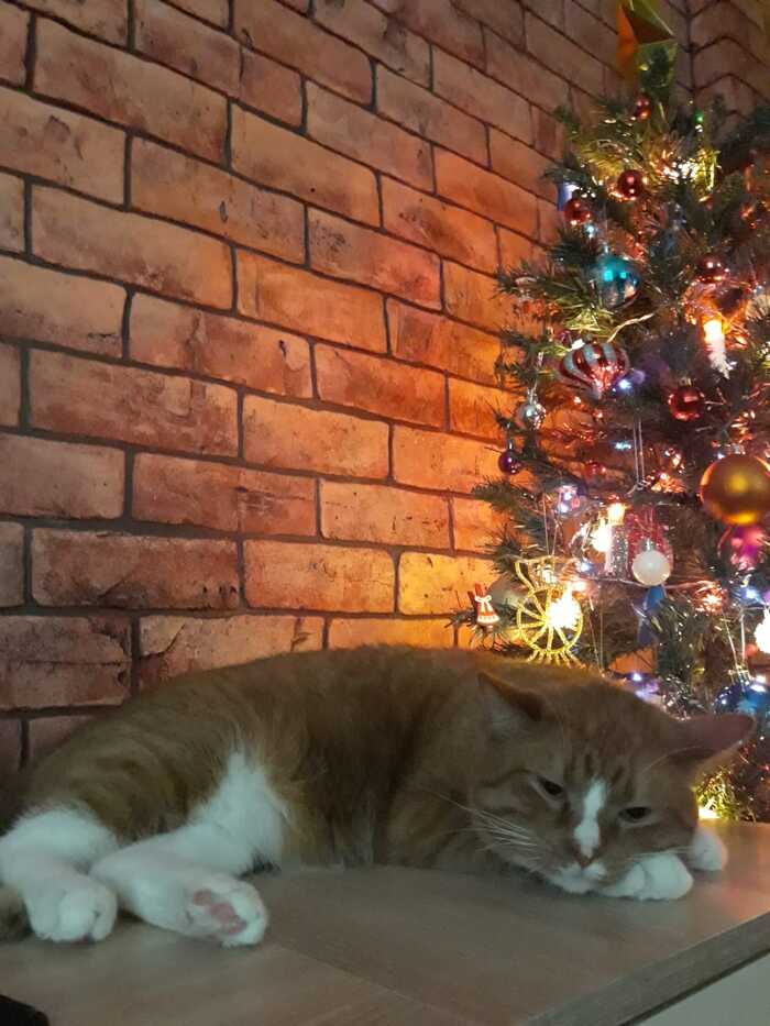 Новогоднее настроение