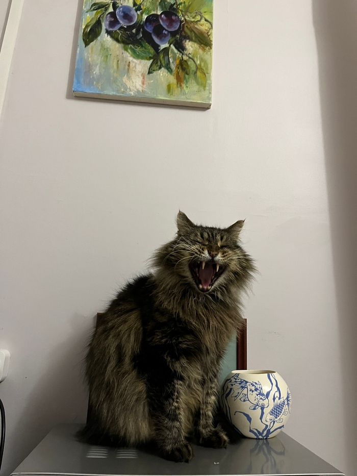 ����-�-�!!!