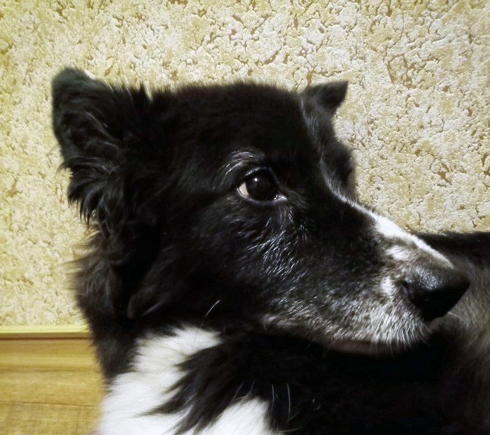 ���������� ������� ����