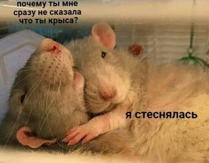 Печальный диссонанс...