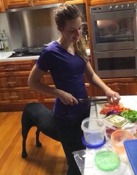 ������� ����������