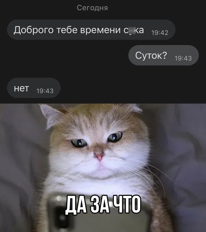 ���� �� ���� �������� �9