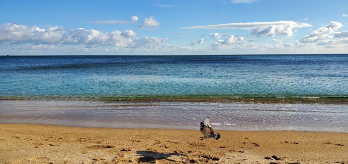 ����, ������, ������, �� ����