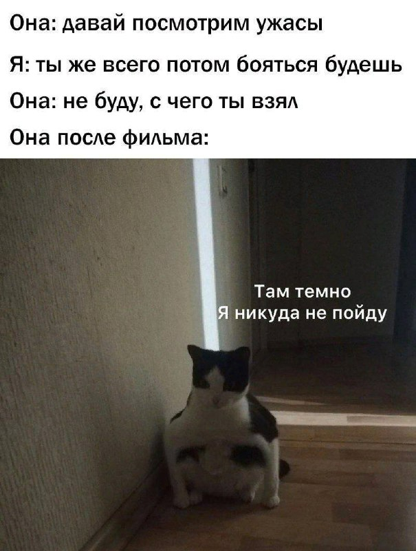  ,   , 