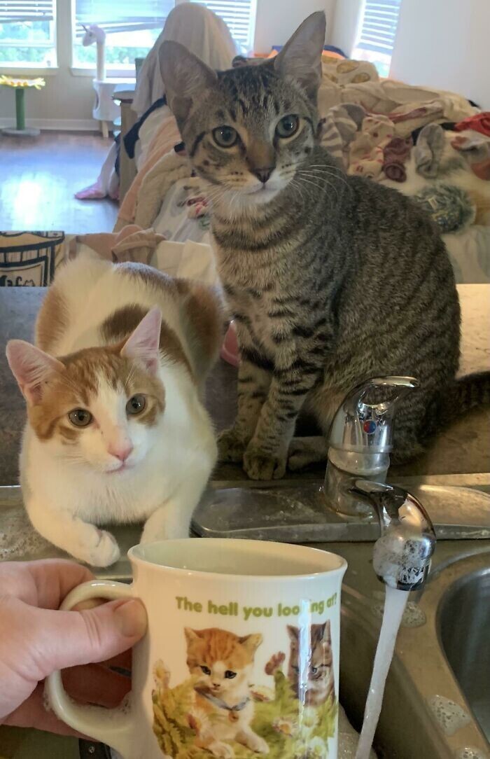 Заказчики остались довольны