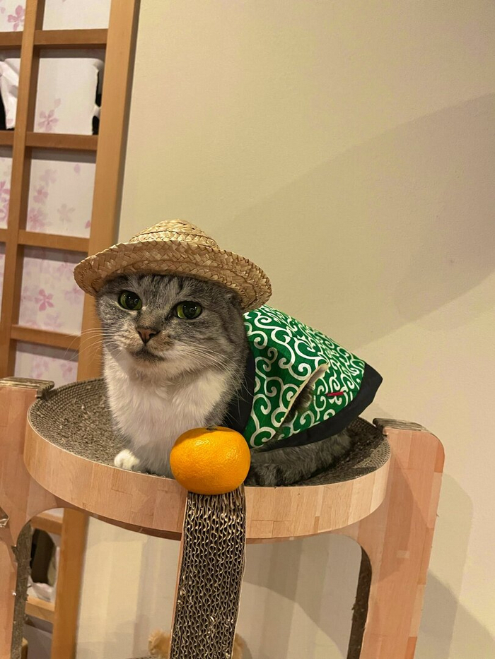    ,     , ! , , 