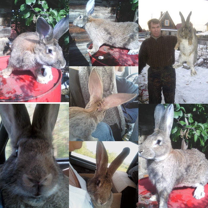 ����� �� ���� �������