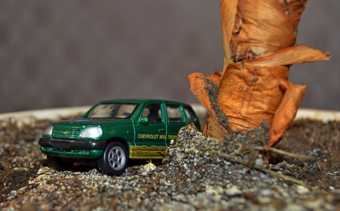 �����-���� )))