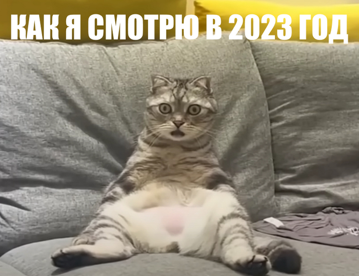     2023