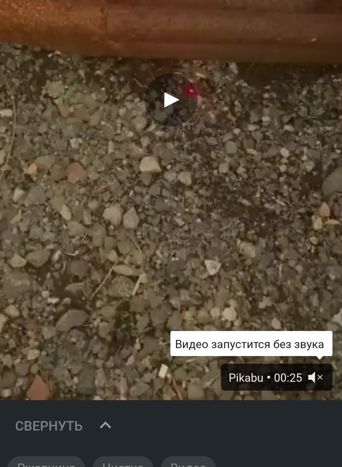 .    ,   , , ,   