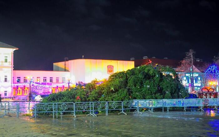 В Полоцке упала главная городская елка